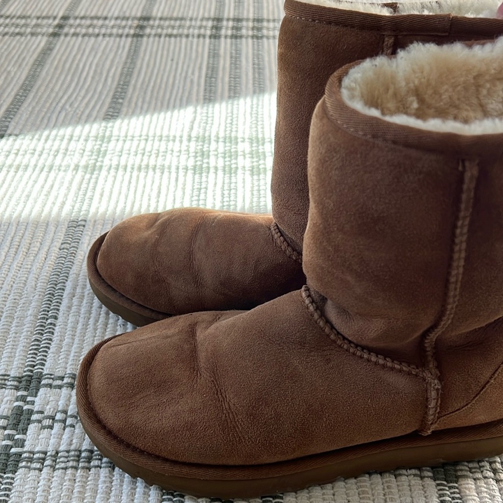 Ugg classic short Chestnut.